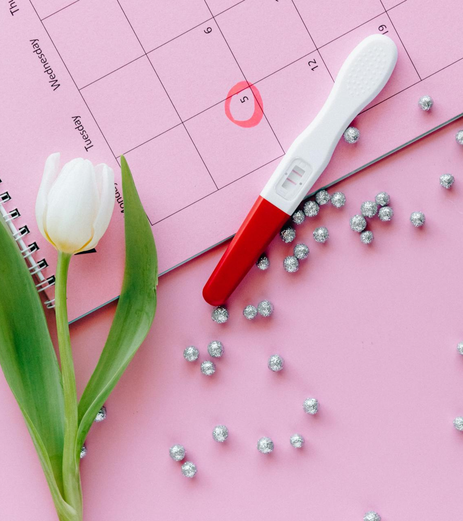 Ovulation Calculator 2026 — Free Fertility Window & Period Tracker