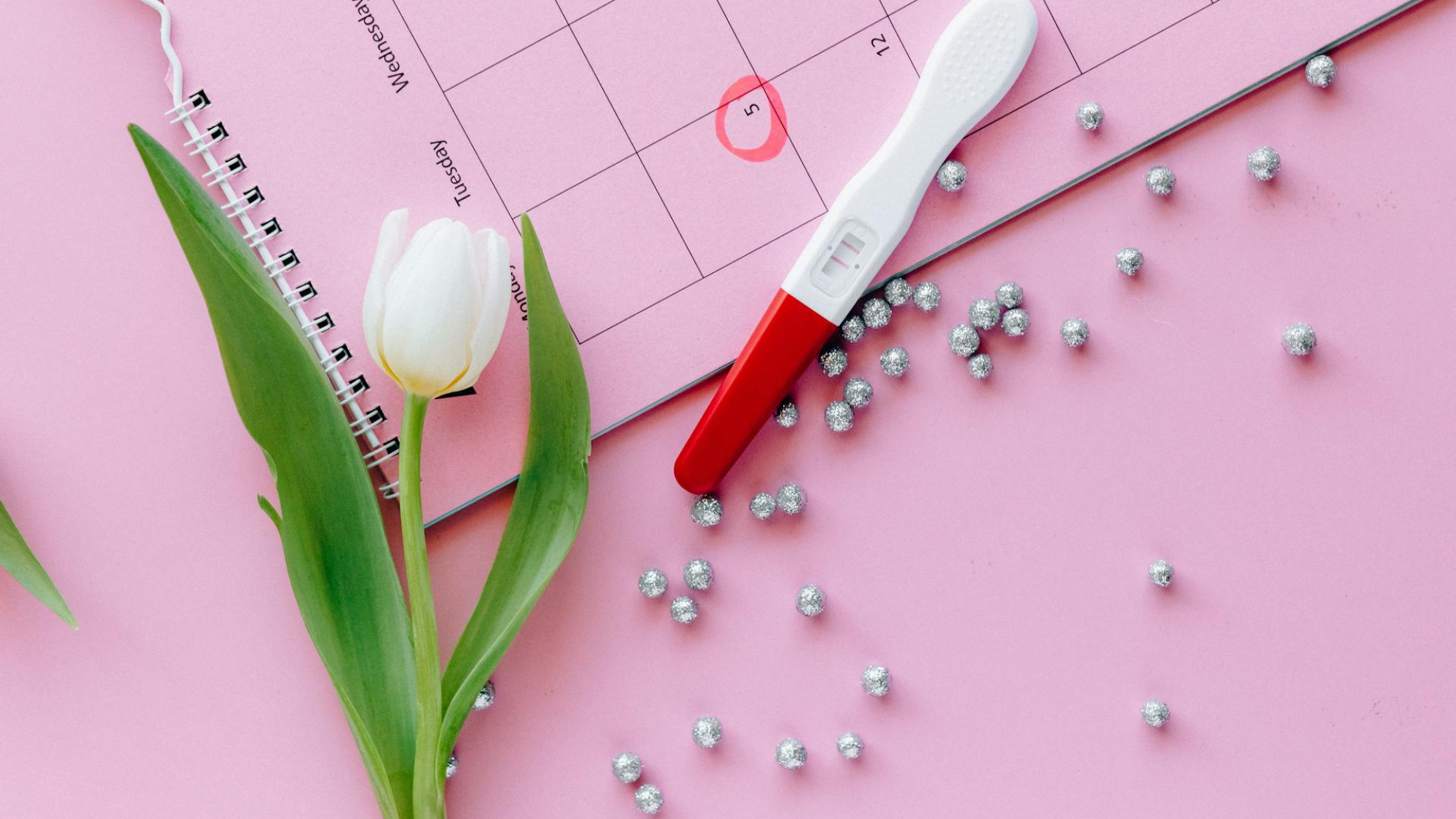Ovulation Calculator 2026 — Free Fertility Window & Period Tracker