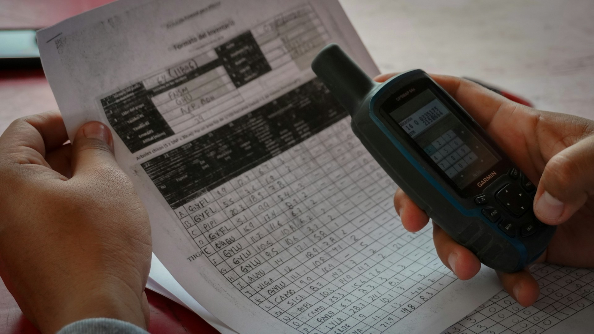 Free grade calculator showing weighted current grade and grade needed on final exam