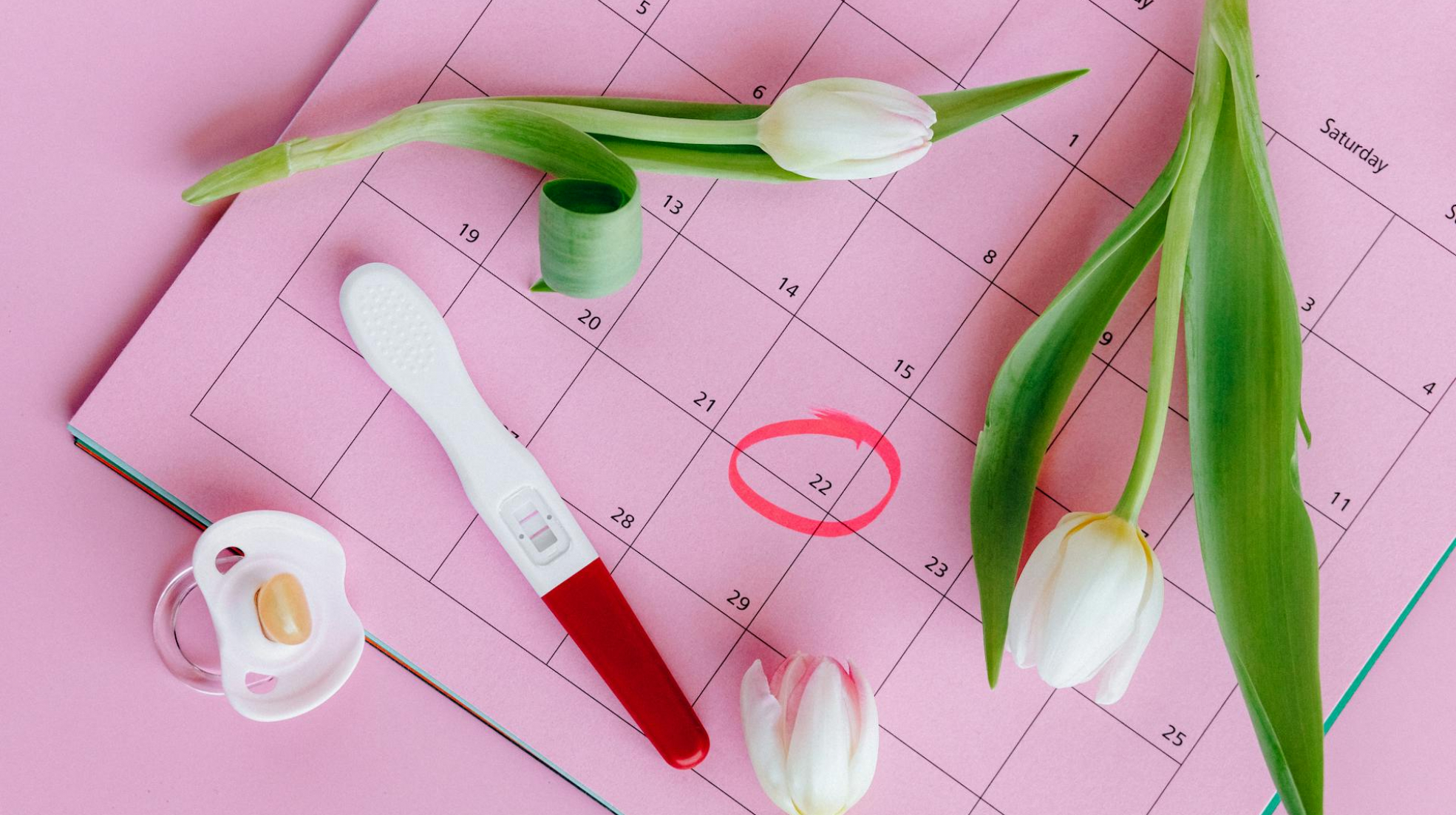 Pregnancy Due Date Calculator: How to Calculate Your Baby's Due Date (2026 Guide)