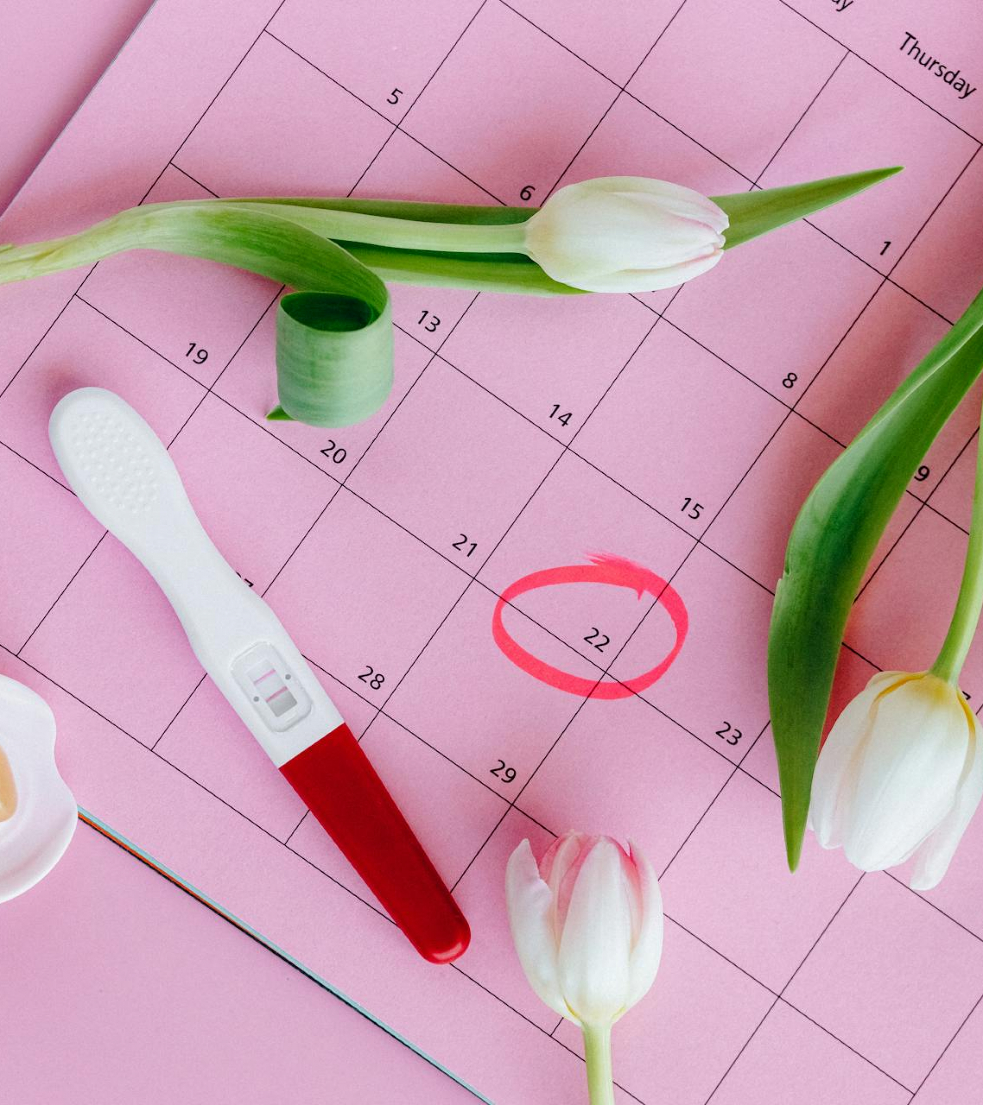 Pregnancy Due Date Calculator: How to Calculate Your Baby's Due Date (2026 Guide)