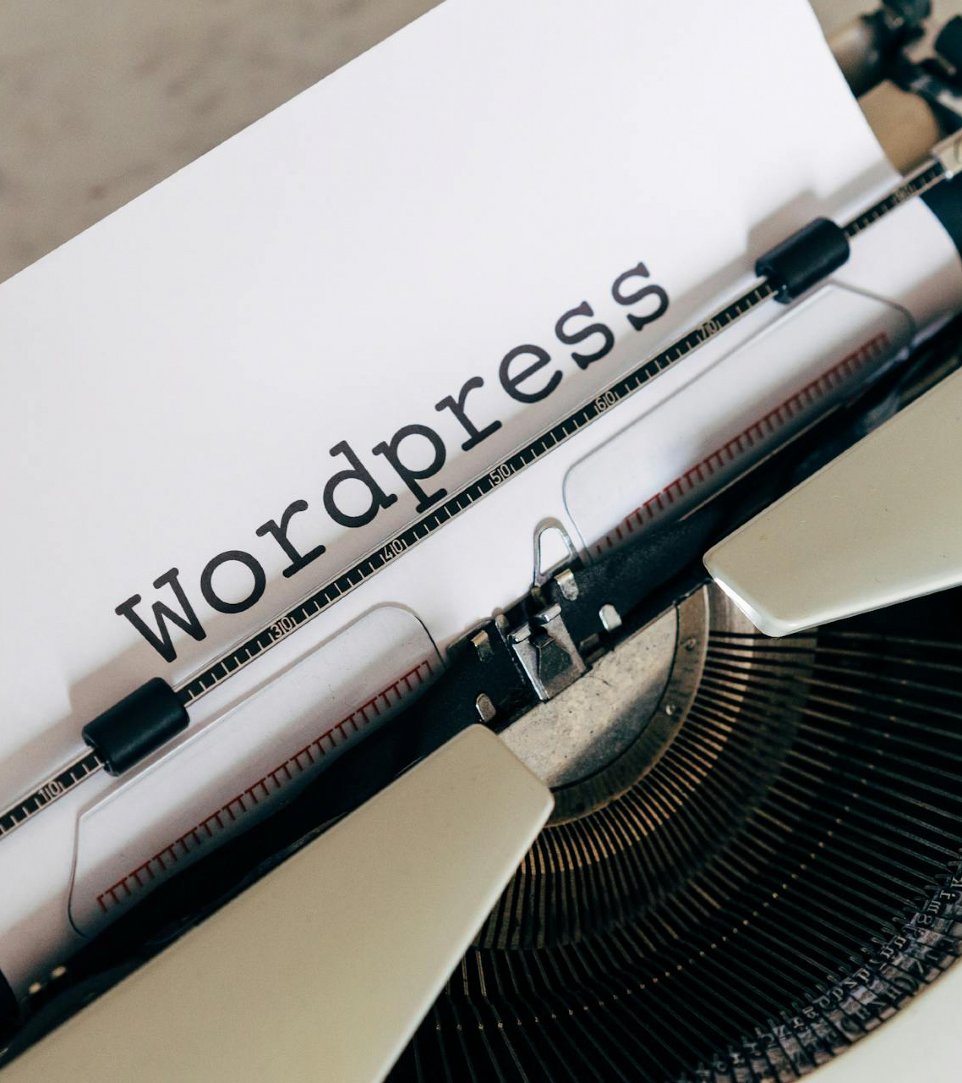 WordPress developer working on custom theme and plugin development 2026
