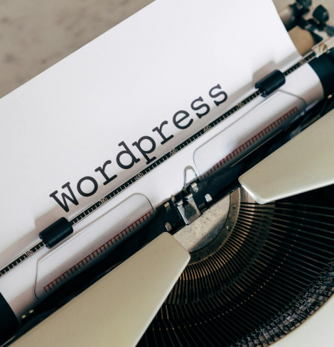WordPress developer working on custom theme and plugin development 2026