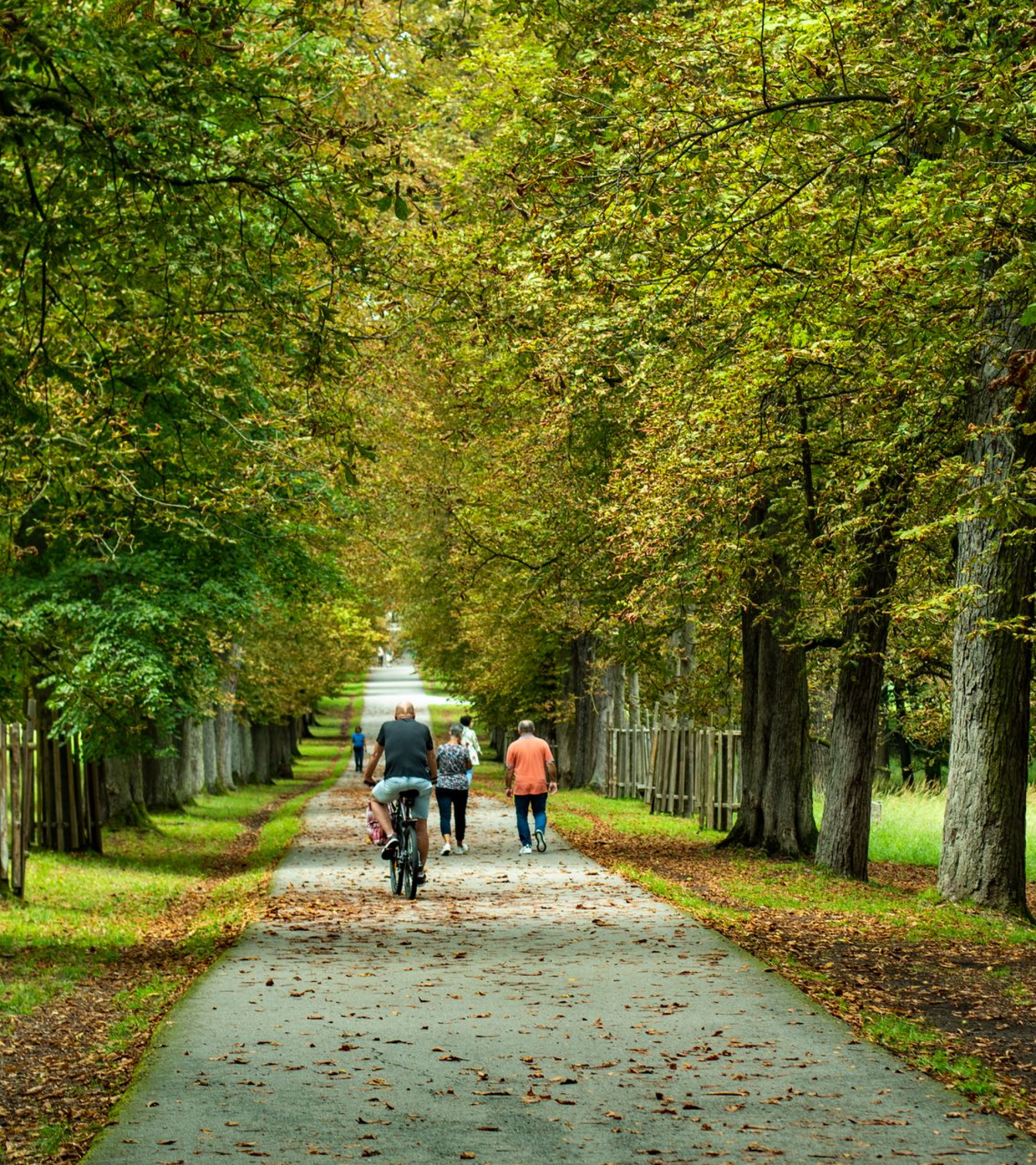 Calories burned calculator for walking, running, cycling and more