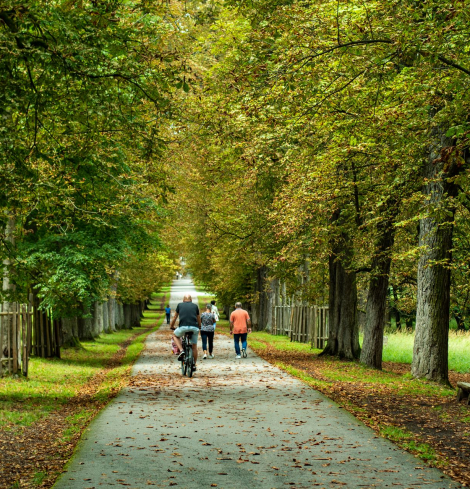 Calories burned calculator for walking, running, cycling and more